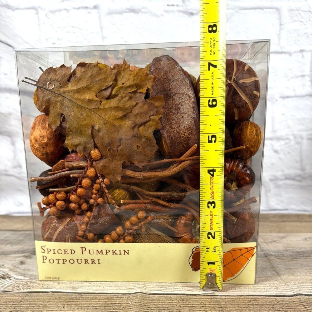 Spiced Pumpkin Potpourri World Market Fall Harvest Home Table Décor Bowl Filler - Picture 8 of 10